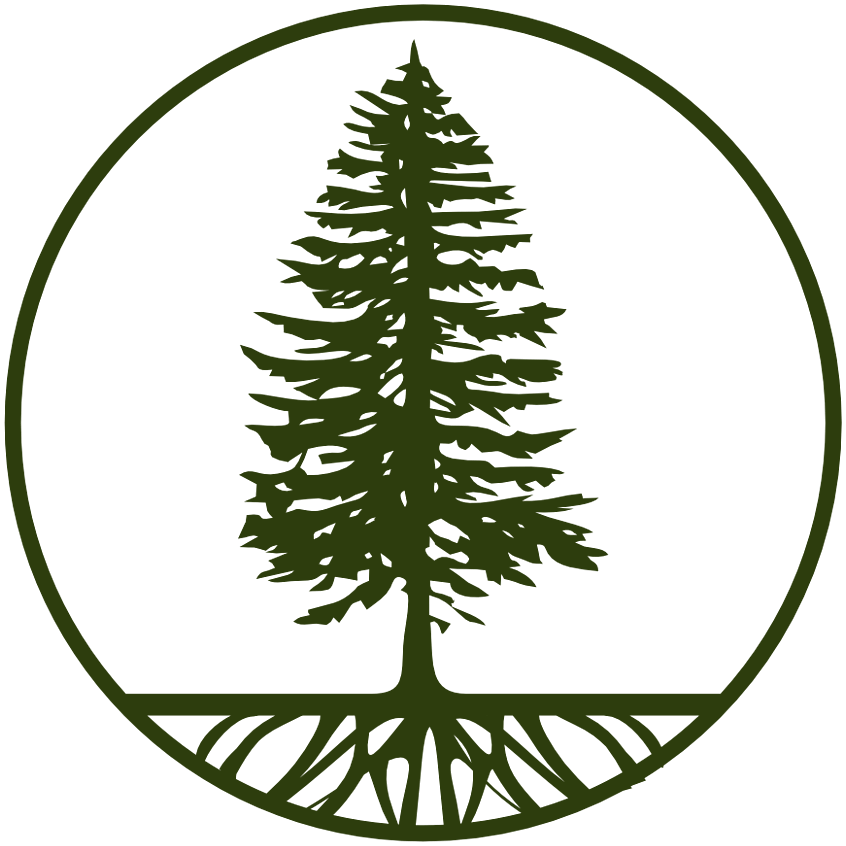 логотип компании примавуд