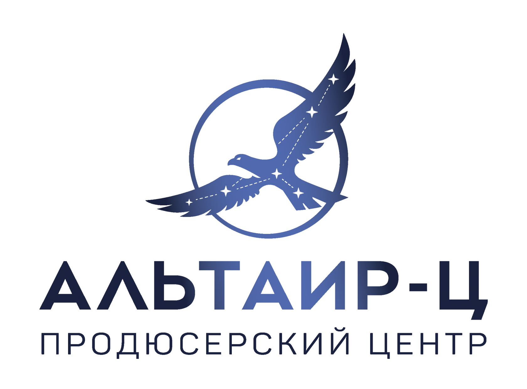 Альтаир информационное