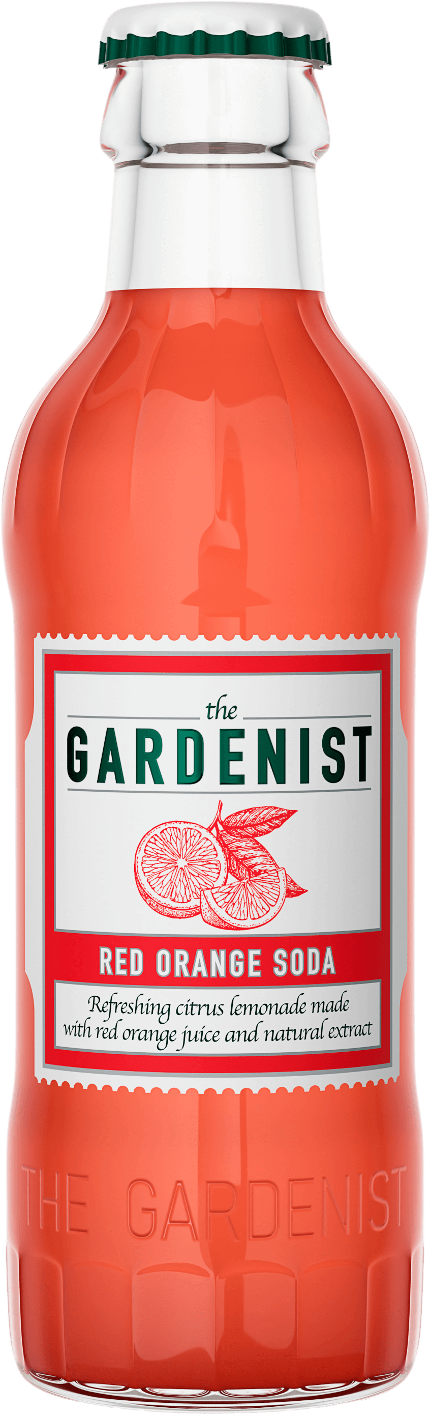 Elderflower Lemonade — яркий и освежающий лимонад с превосходным цветочным вкусом и восхитительным кисло-сладким балансом.