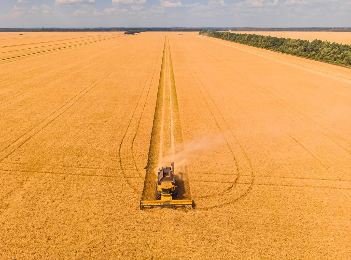 Уборка зерновых — как убирают зерно в поле, блог на сайте Digital Agro