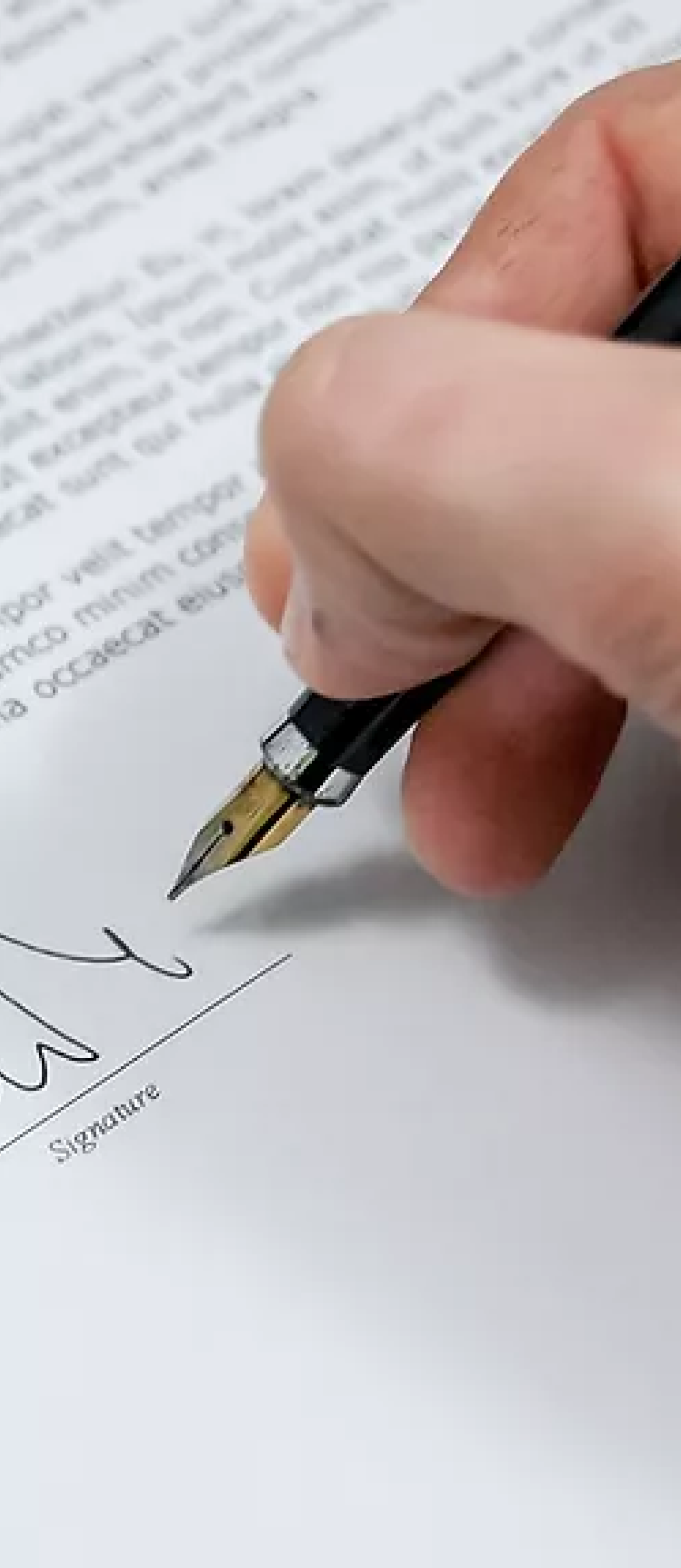 проверка на тождественность и сходность перед подачей заявки на регистрацию