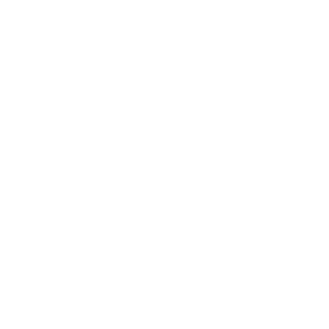 website icon