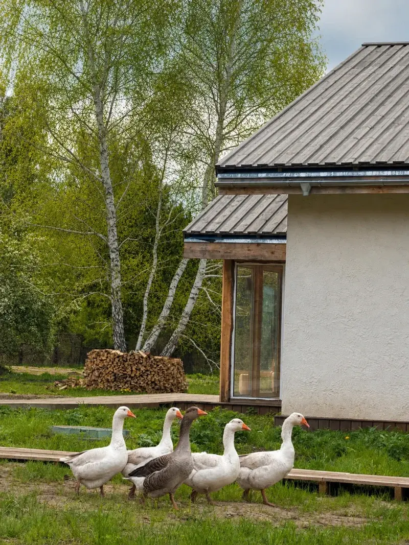 Фотография деревенской избы