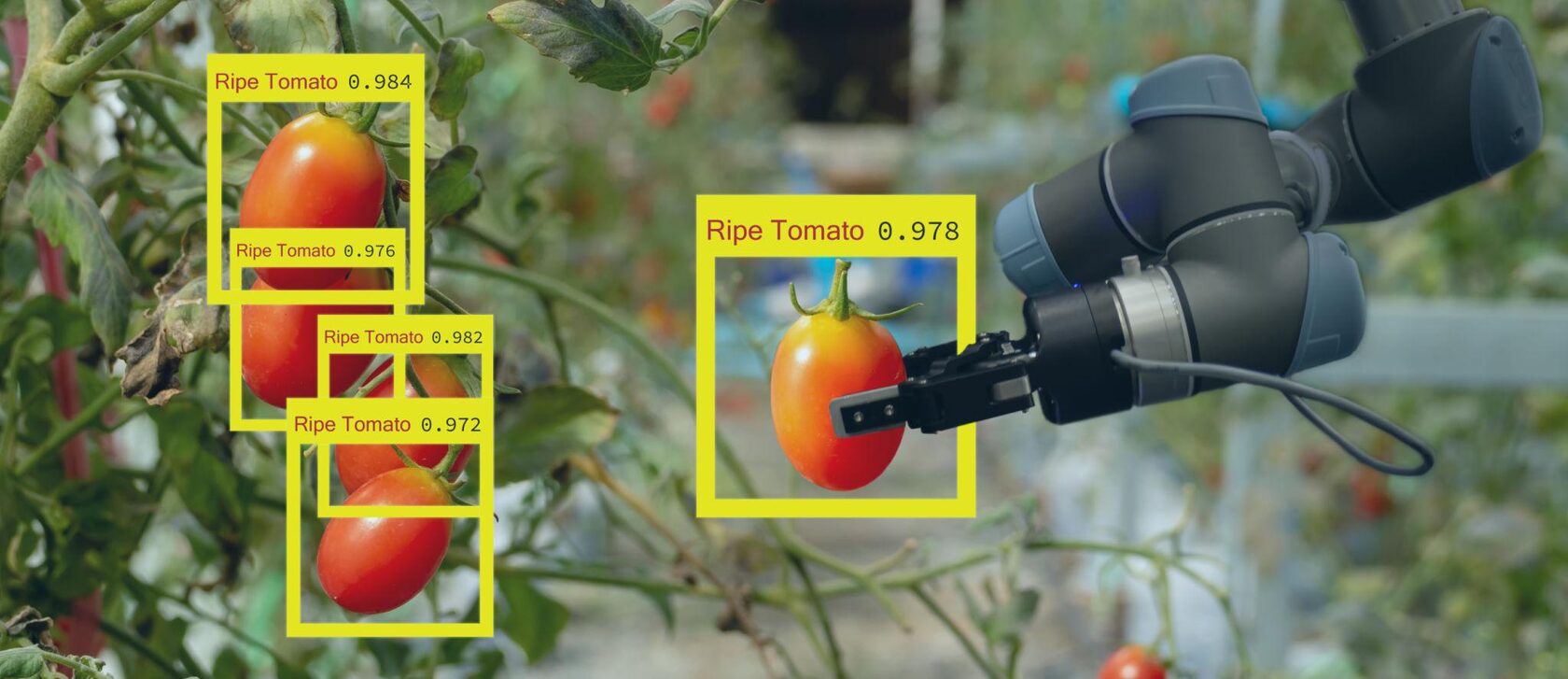 https://images.openai.com/static-rsc-4/l9nAxW6W1Sdl2vfJe95-aV-RX93jsADLbe4eVdcRPW4Cm6G4D_fF6hTCcMWTnsCyV8unKTA36K17vnXp5-2imYFIQUreovkj8zE9mIJS_fSq8NKNHriVKsZEf_LQKsLa4rkerWs1YTcjutPTqL8p62AEBbHGWQwqL--GAS6Dh7TXPSHXPW99Pr04y0GIdaAl?purpose=fullsize