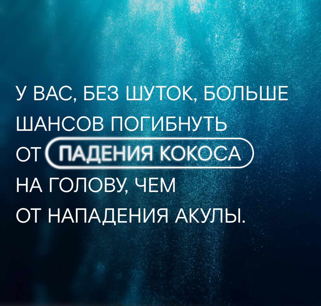 Преодолейте свой страх перед акулами: научитесь любить их!