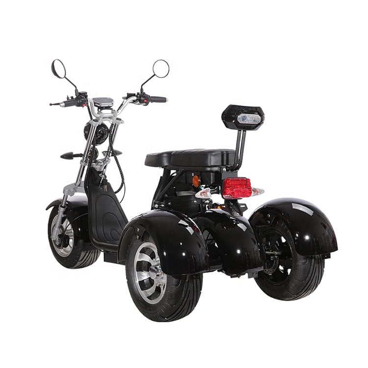 electric_scooter_citycoco_y20_trike_black_rear