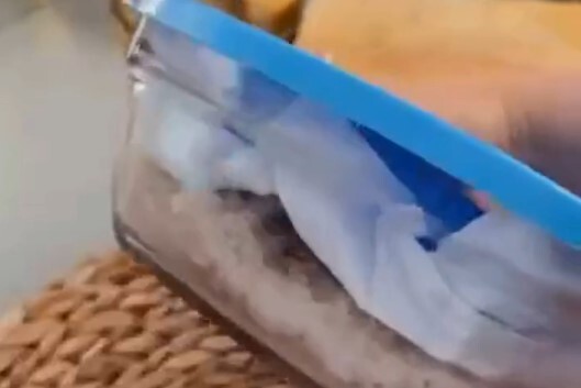 Засолка красной рыбы с паприкой: шаг 5