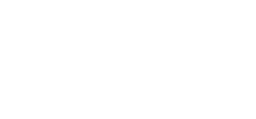 Artis Academy