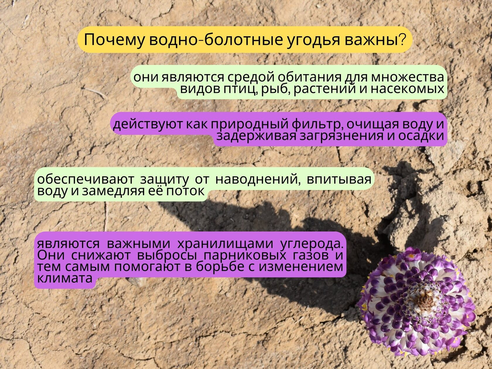 Нет описания фото.