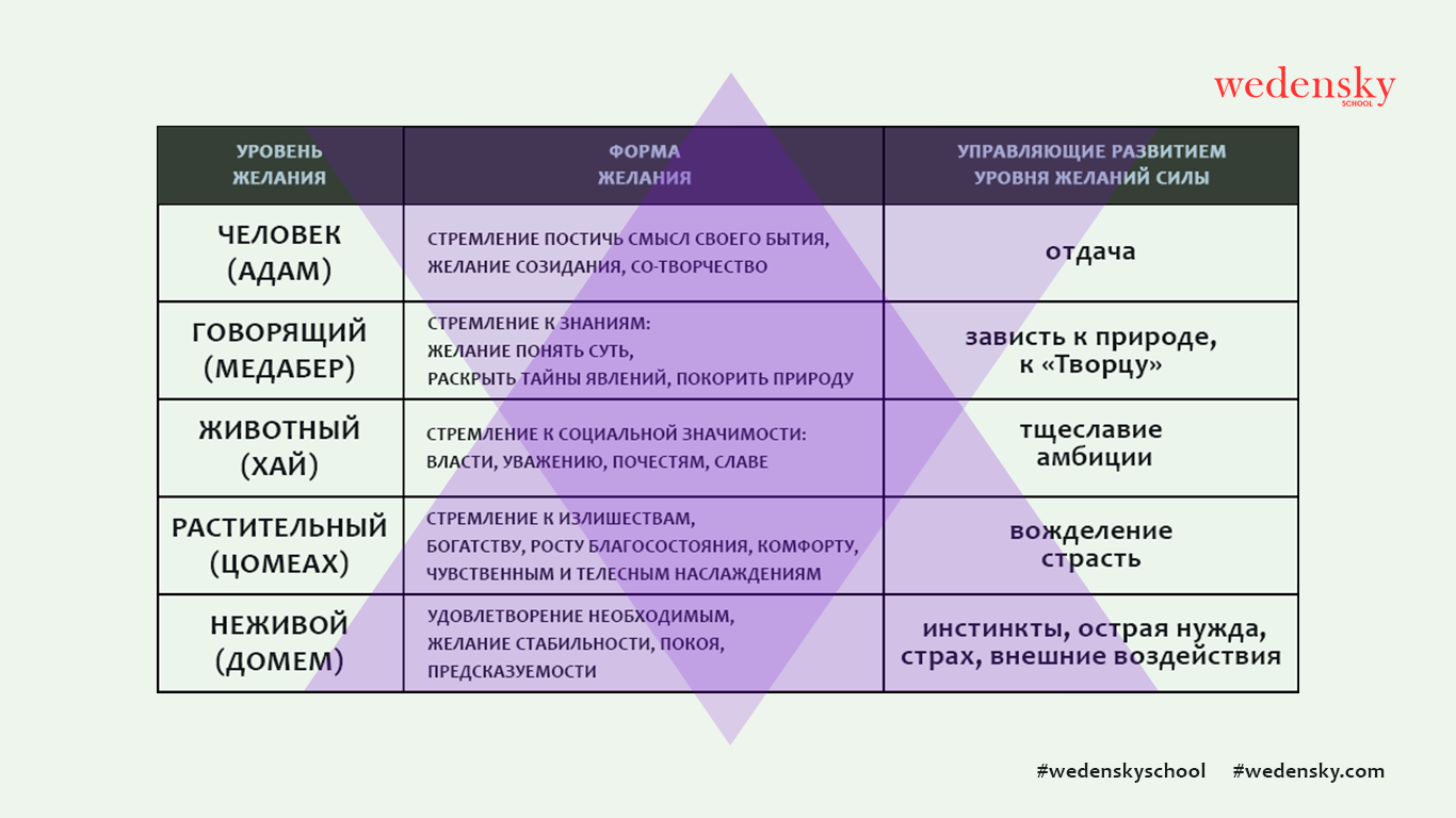 Наши планы и амбиции проект по английскому языку