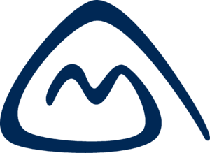 website icon