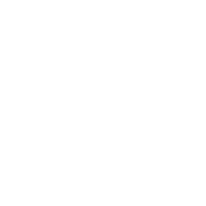 website icon