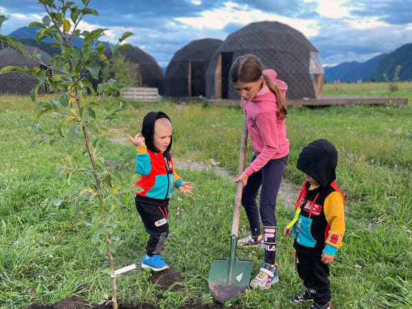 Семейный лагерь - посадили семейное дерево