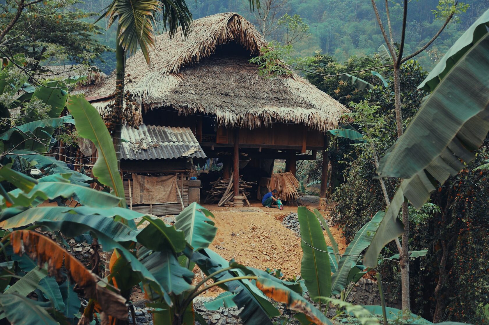 Granny Thuy's house