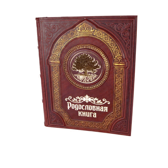 Парадная книга