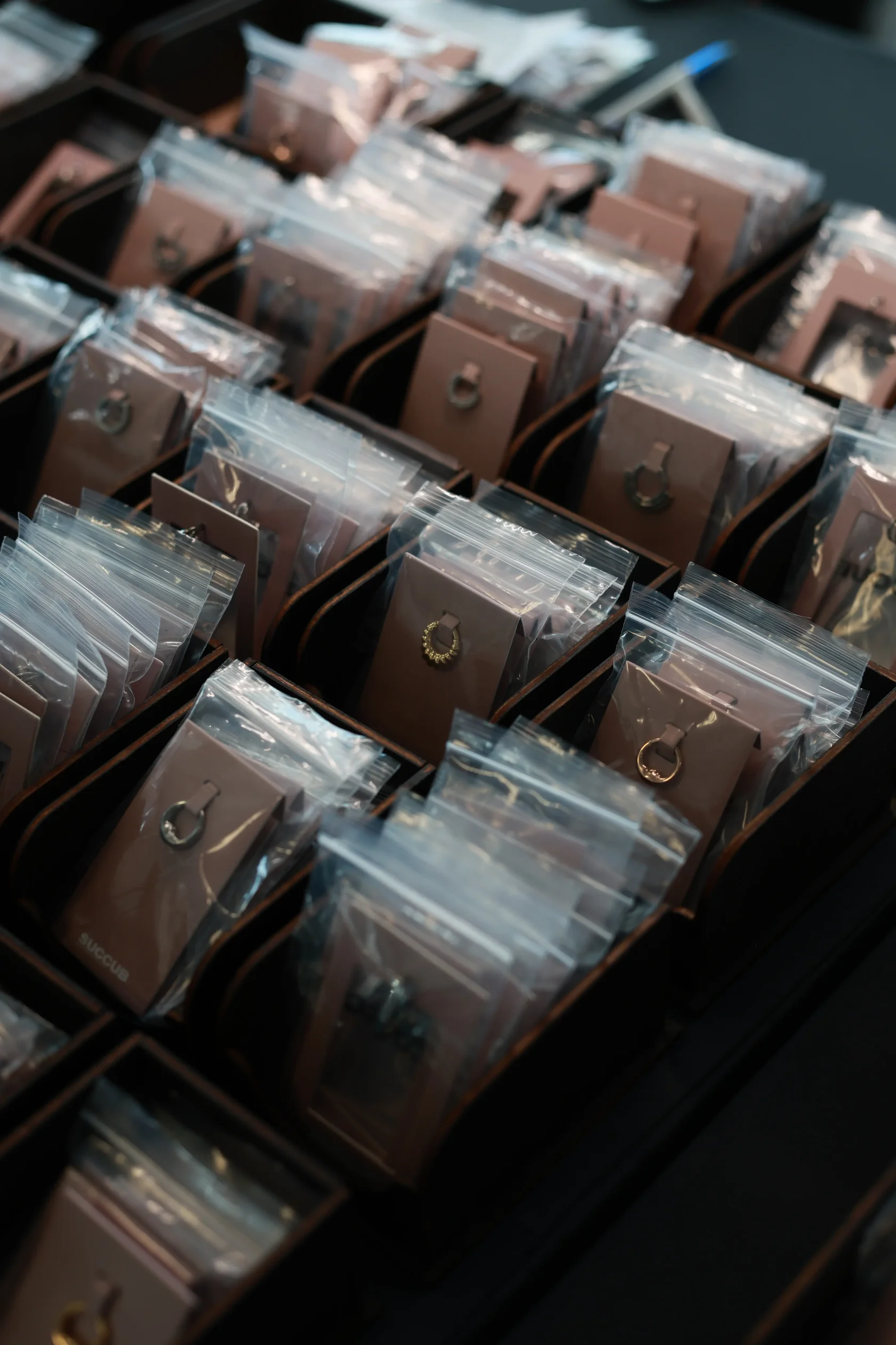 SUCCUB — украшения II