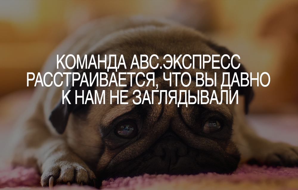 Команда АВС.экспресс расстраивается, что Вы давно к нам не заглядывали