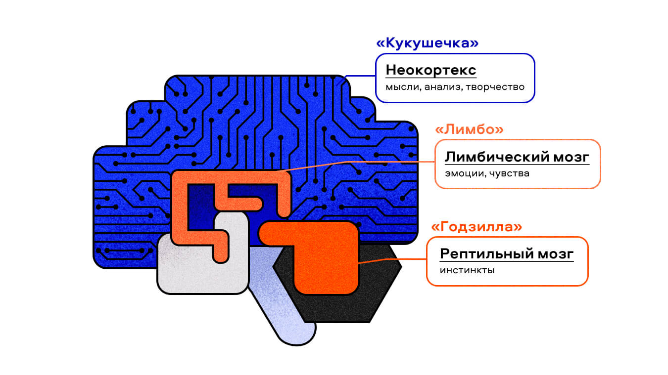 Баннер "Мозг"