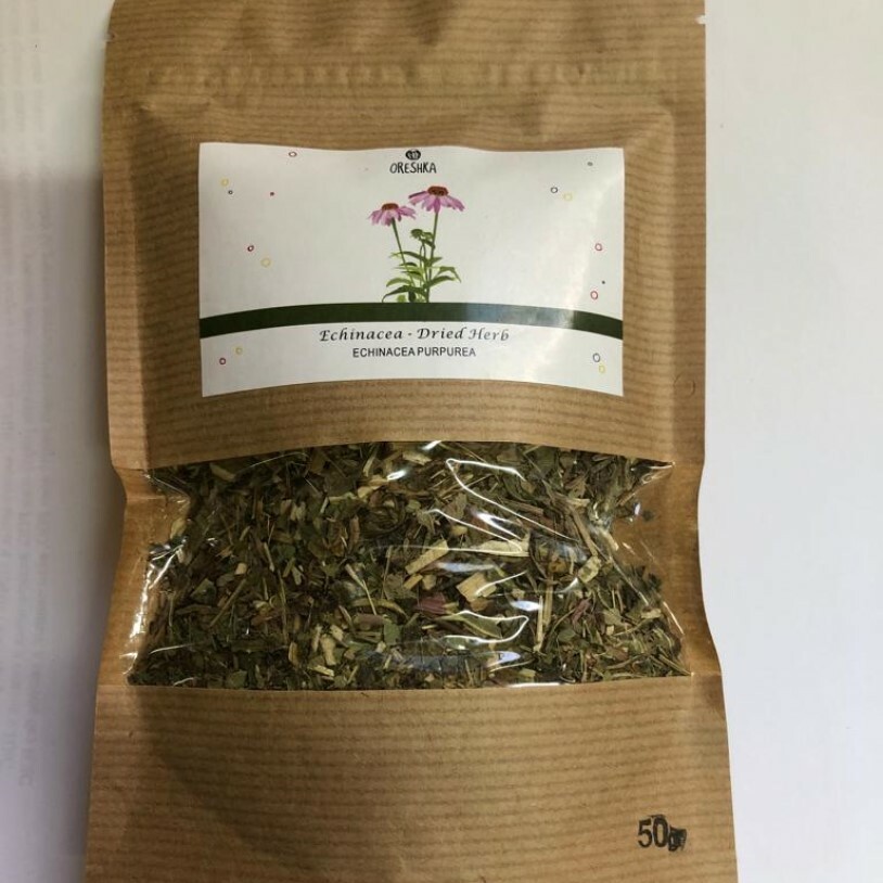 Seeds of Echinacea herb 50gr — Echinacea purpurea — 10 pcs
