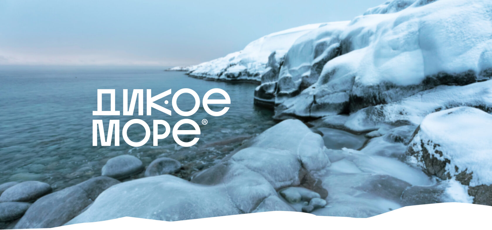 Дикое море. Рыба и морепродукты с самого края Земли.