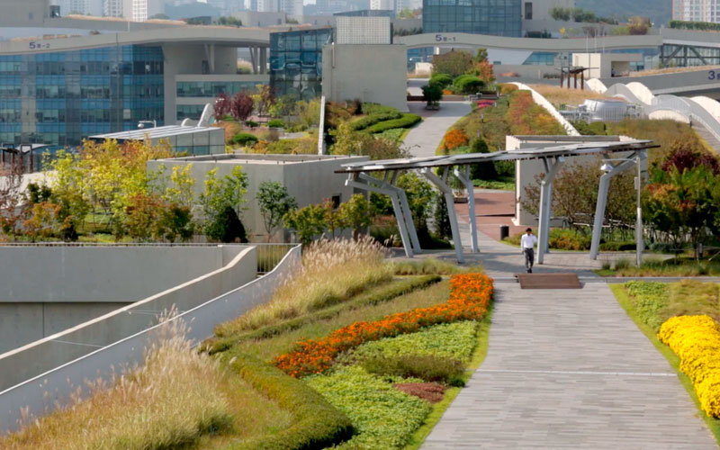 Зеленые крыши: чем они полезны городу и как сделать такую в своем доме