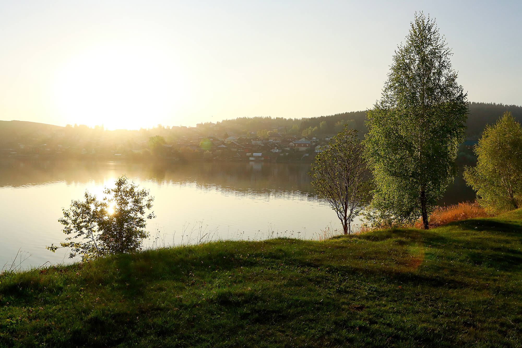 Аура тополей ревда. Аура тополей ревда. Аура тополей ревда. Аура тополей ревда. Аура тополей ревда.