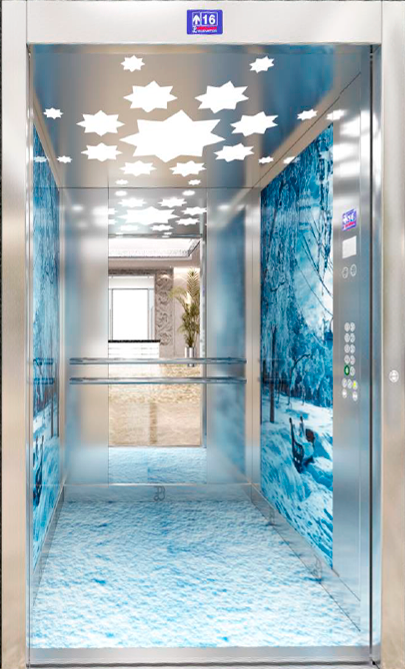 Лифтовая кабина Репино 