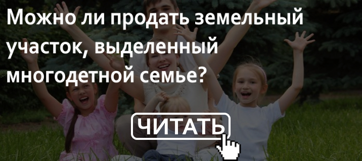 Продать землю выделенную многодетной семье. Можно продать земельный участок для многодетных семей. Как можно продать участок выделенный многодетным. Многодетным семьям смогут продать выданные участки.