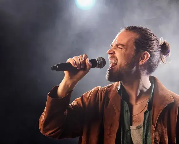 какую караоке систему купить домой