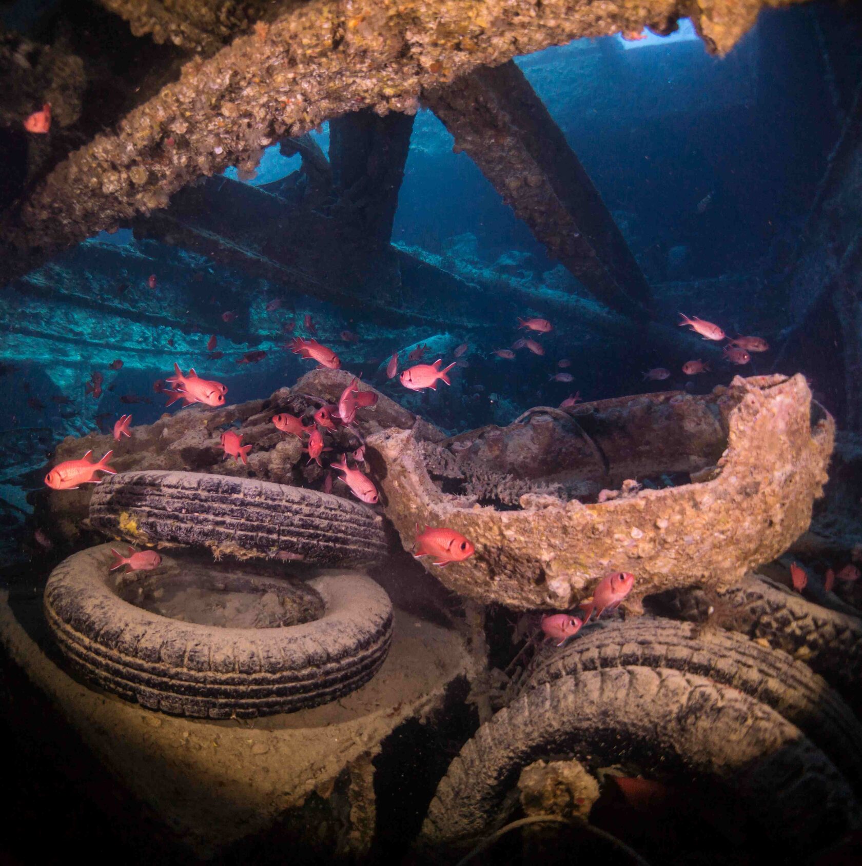 Дайв-сайт SS Thistlegorm