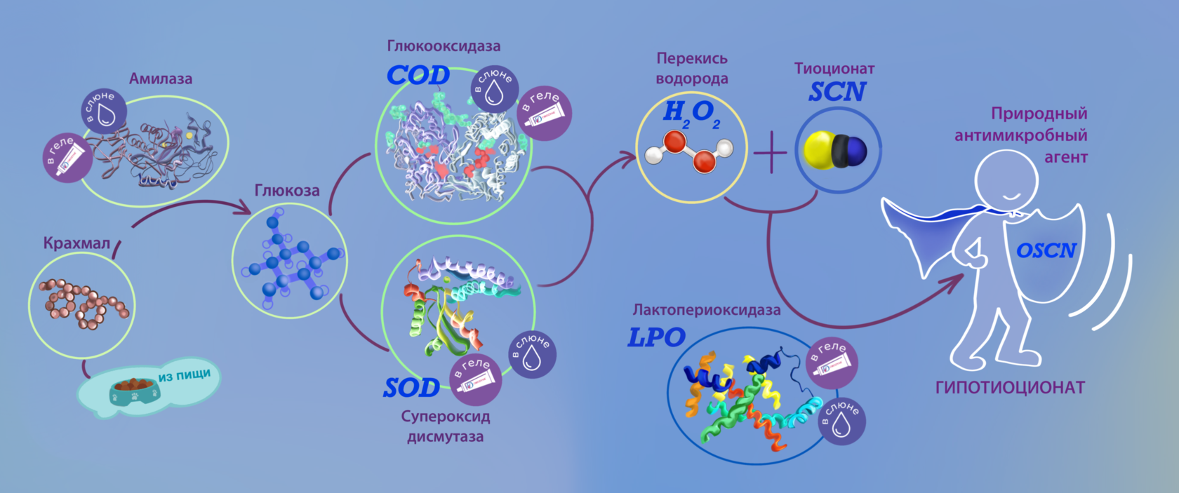 Орозим гель