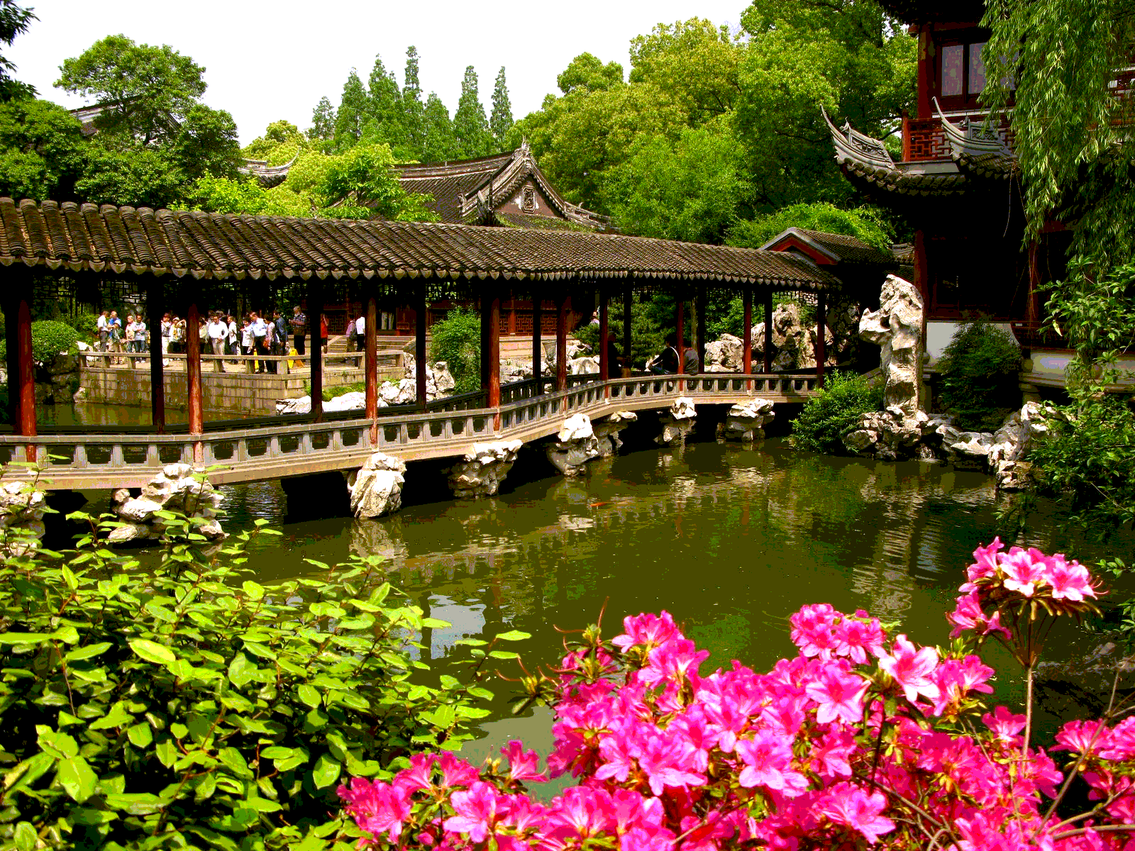 Park china