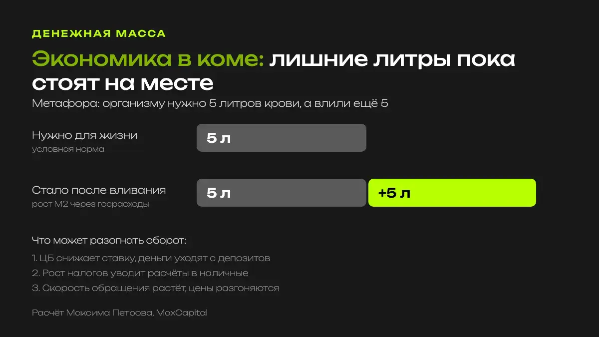 Метафора экономики в коме: нужно 5 литров крови, влили ещё 5, всего 10 литров; пока деньги лежат на депозитах, скорость обращения низкая