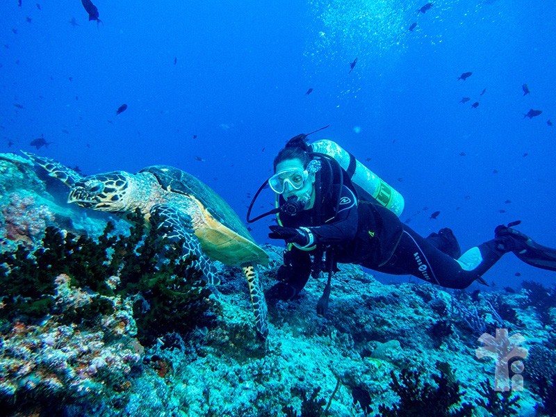 Scubaspa Maldives путевка