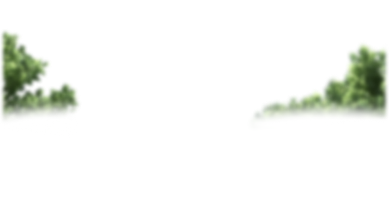 Трансформационная игра «Тропа к мечте» автор Гузэль Даянова