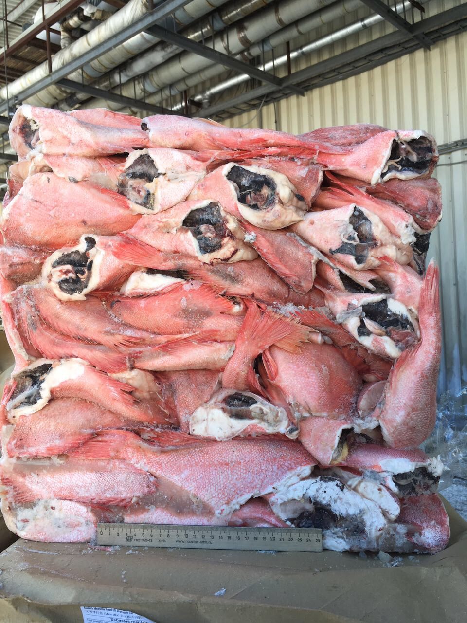 окунь свежемороженый мелкий 100-300