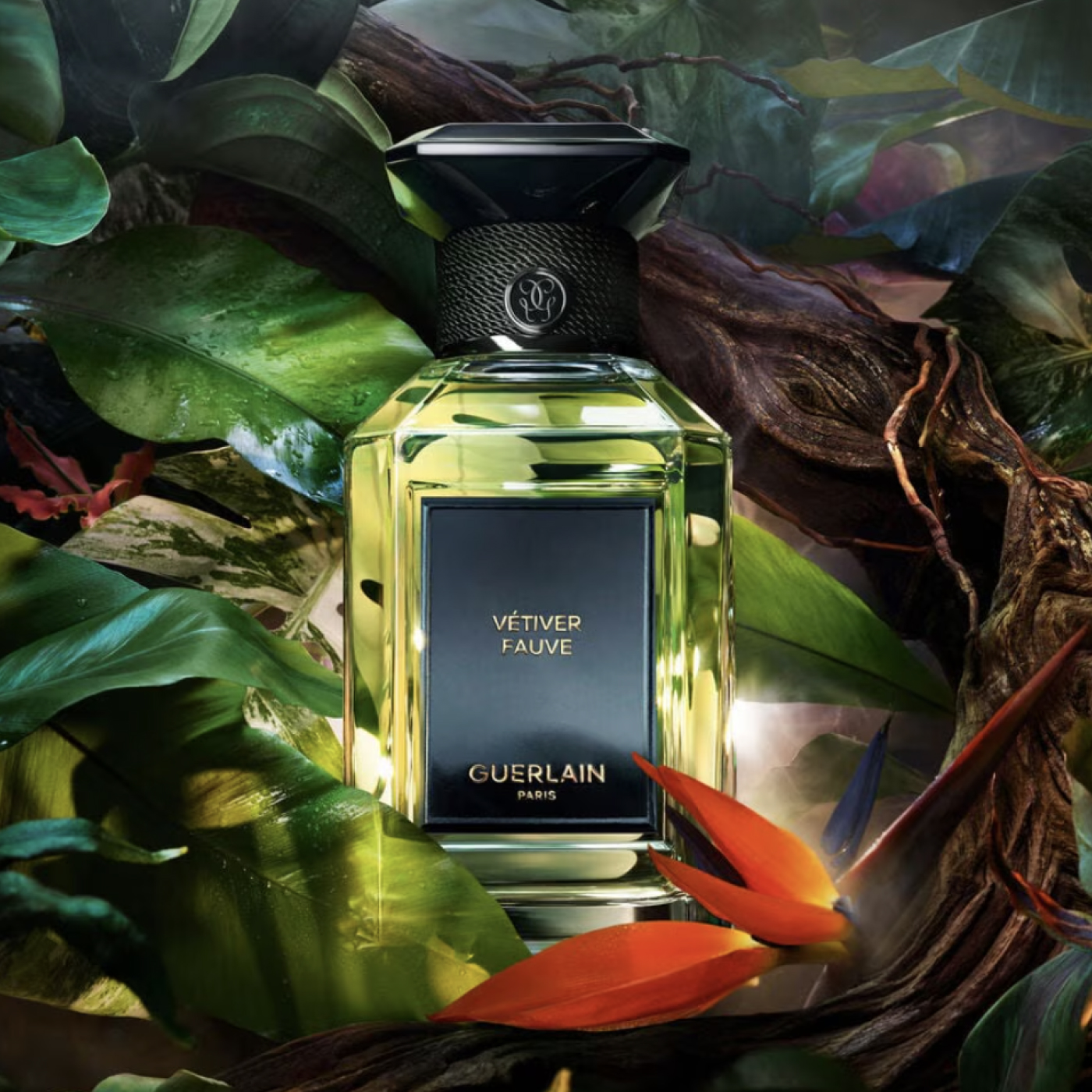 Новинка от Guerlain Vétiver Fauve – Eau de Parfum: аромат свободы и силы уже в Парфюмер клуб