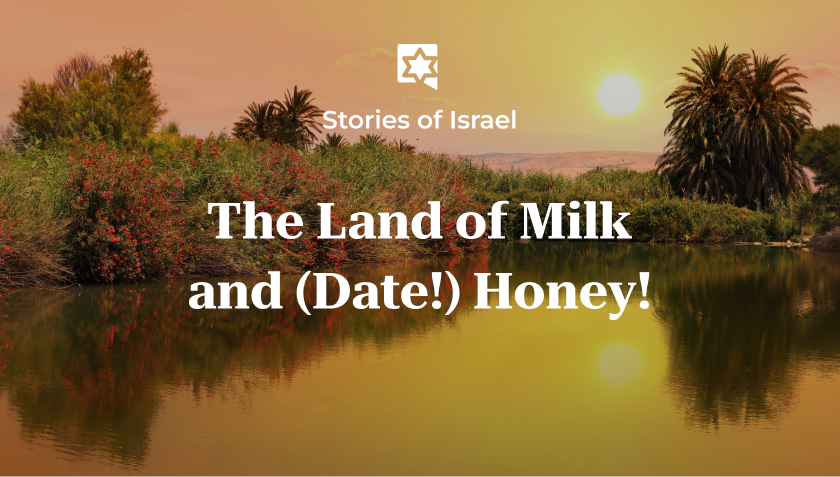 The Land of Milk and (Date!) Honey! - Stories of Israel | Israel Cart