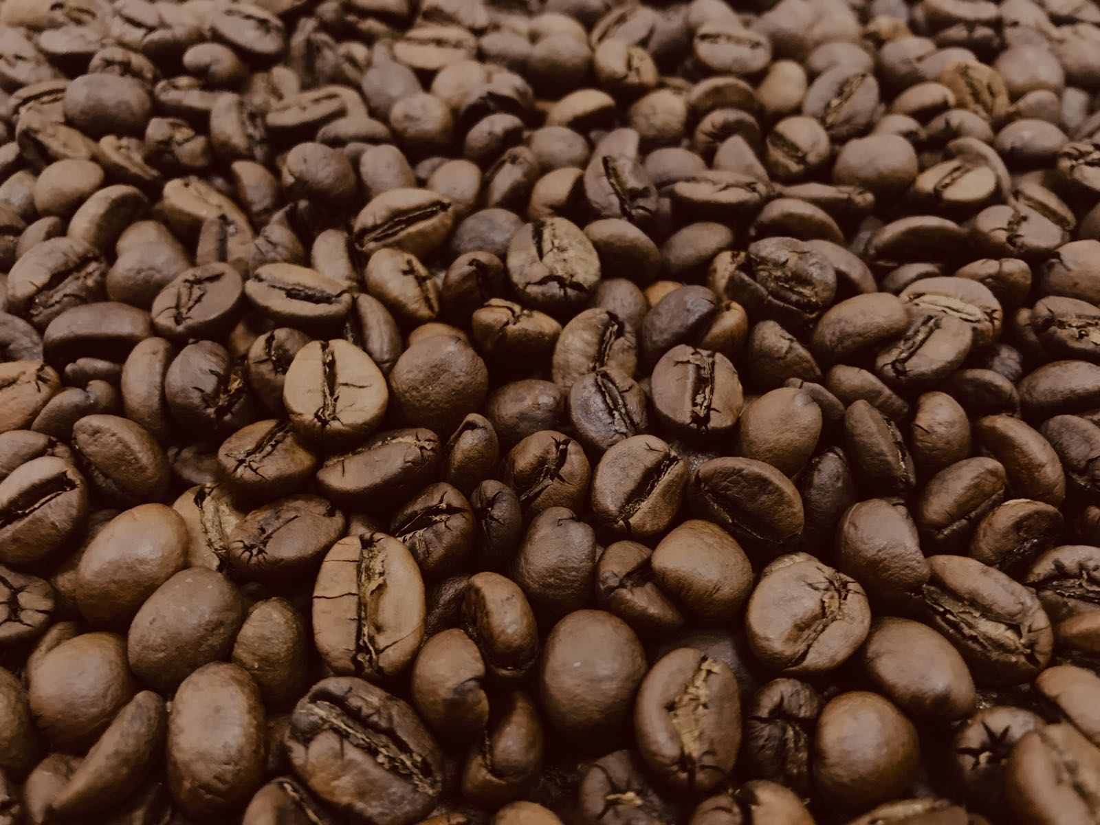 Лучшие зерна арабики. Зерно Арабика и Робуста. Кофе в зернах Арабика и Робуста. Кофе 50 Арабика и 50 Робуста. Кофе зерновой Робуста.