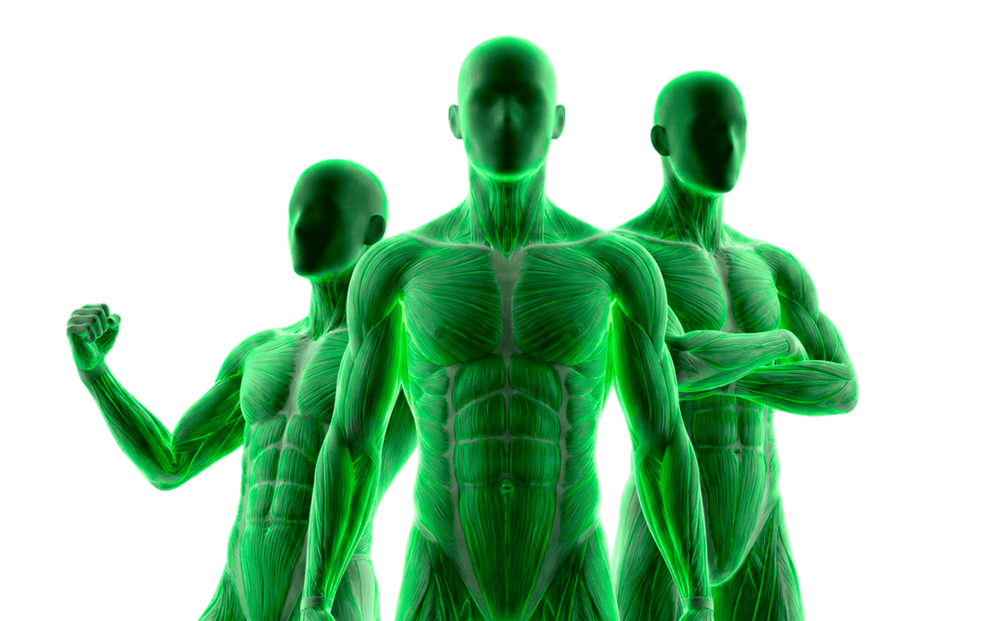 найти работу тренером в Санкт-Петербург, работа тренером онлайн, работа персональным тренером СПб