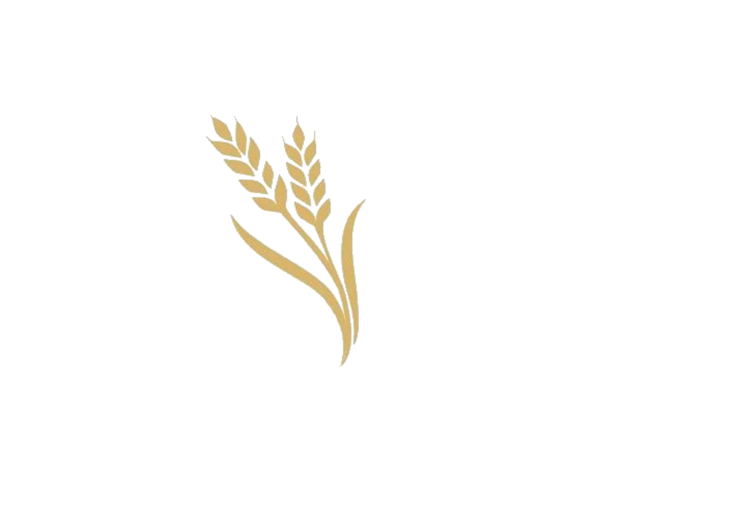 OOO Красный маяк
