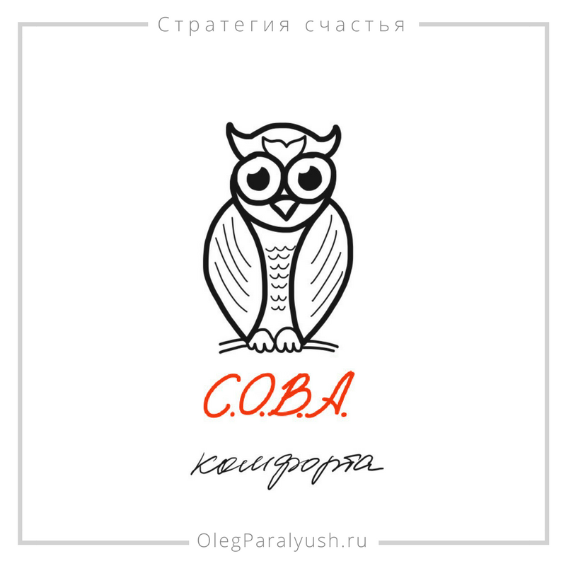 Сова комфорт. Сова комфорт Саратов. Э Филина. Сова комфорт Саратов адрес.