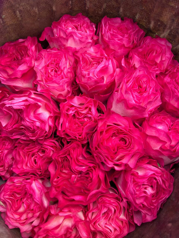 Eco Roses предлагает розы разнообразных оттенков, много новинок, а также двуцветные и окрашенные цветы.