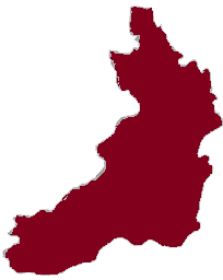 ДОНБАСС ПОМОГАЕТ ВОЛОНТЕРАМ И ПОМОГАЕТ МИРНЫМ ЖИТЕЛЯМ С ПОЛИНОЙ ЦВЕТКОВОЙ