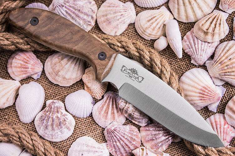 Kizlyar Supreme FORTUNA knife model