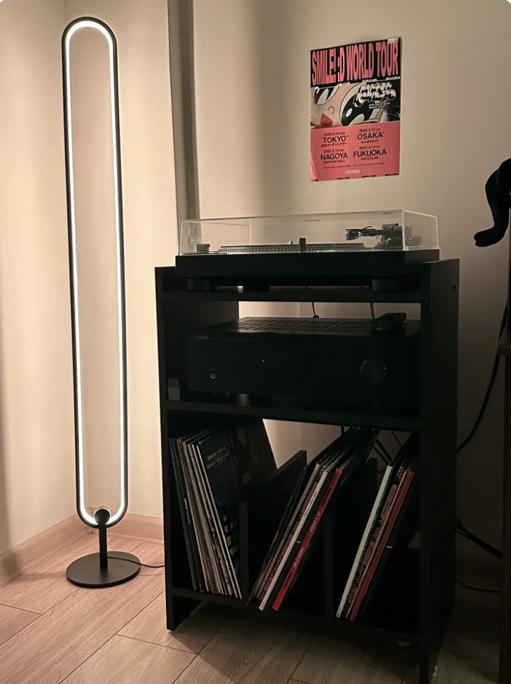 Тумба для винила СТЕНВИК в интерьере