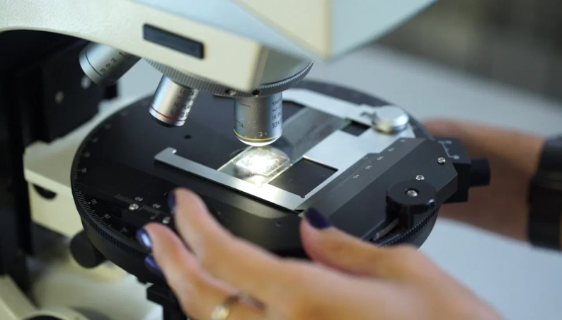 Мастер-классы от музеев