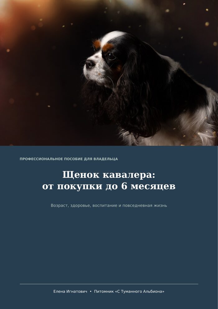 Пособие «Щенок кавалера: от покупки до 6 месяцев» — Елена Игнатович