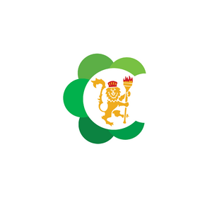 website icon