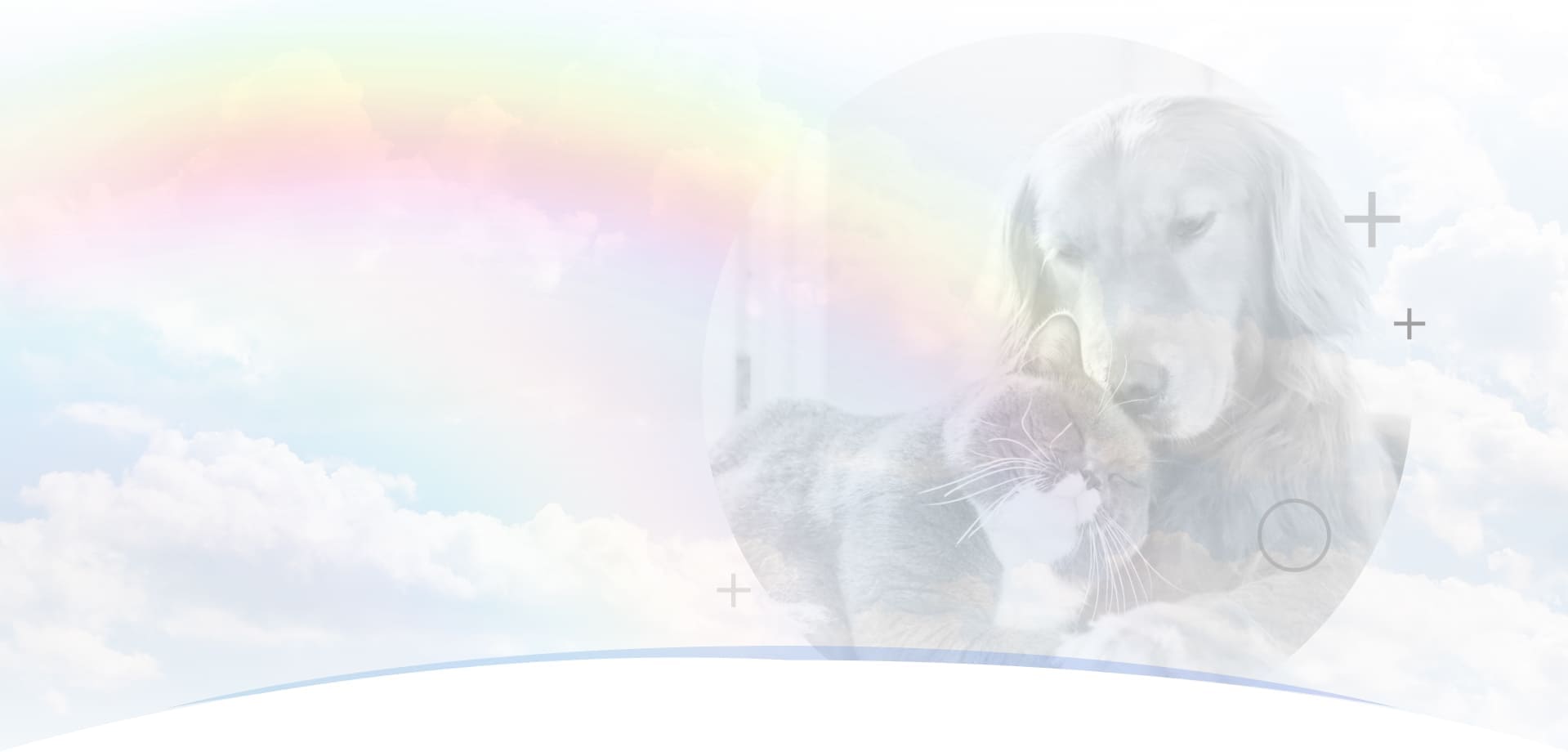 Кремация домашних животных - крематорий для животных в Москве